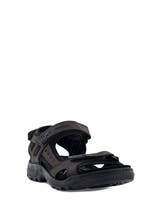 Ecco Offroad