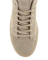 Tommy Hilfiger Park Premium Suede