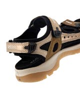 Ecco Offroad