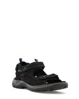 Ecco Offroad