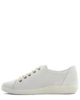 Ecco Soft 2.0