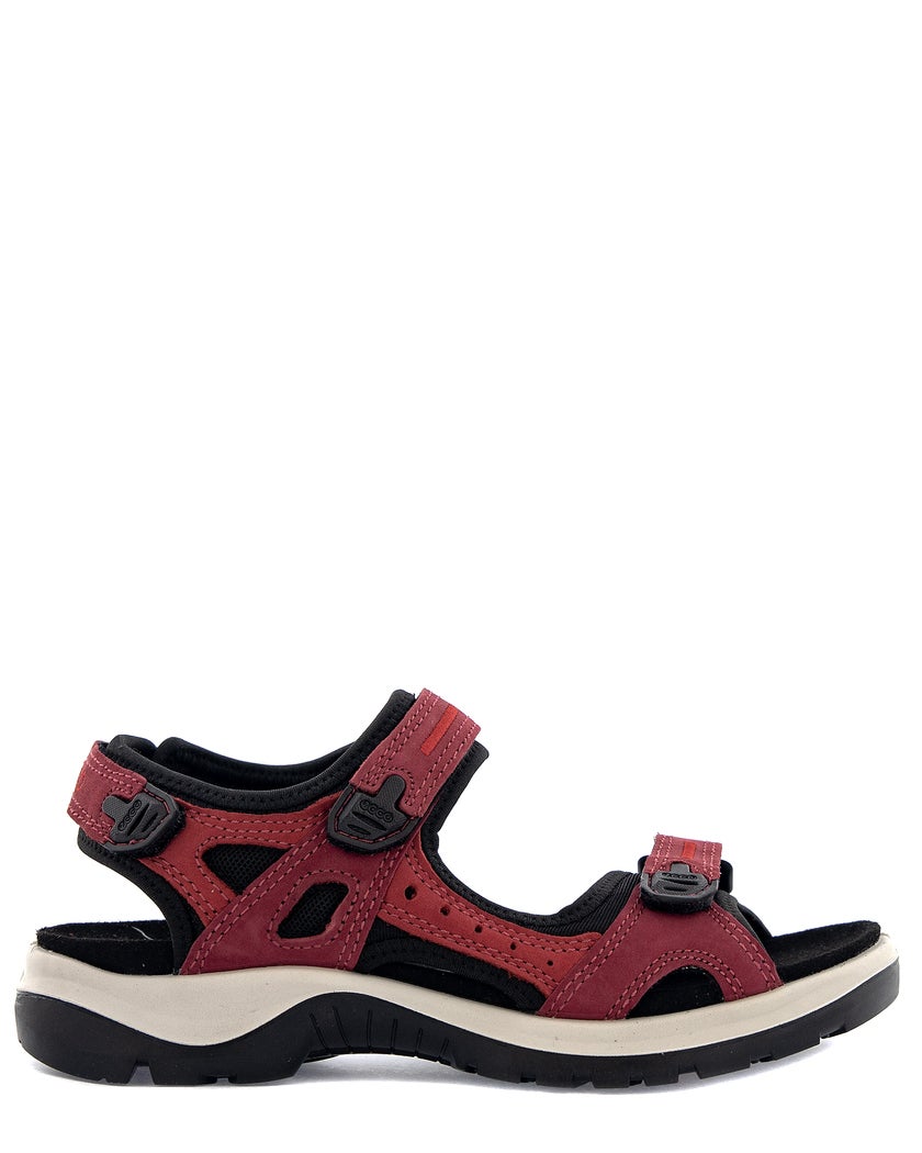 Ecco Offroad