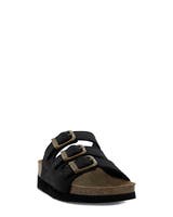 Scholl Rio WG AD