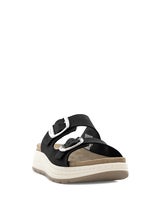 Scholl Scilla 2 Buckles