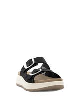 Scholl Scilla 2 Buckles