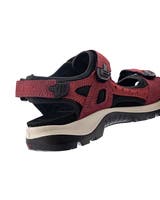 Ecco Offroad