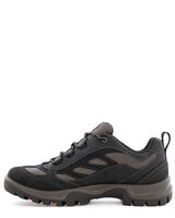 Ecco Xpedition III W