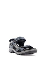 Ecco Offroad