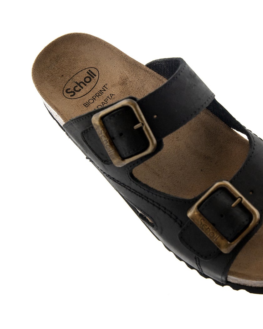 Scholl Moldava AD