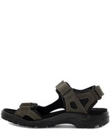 Ecco Offroad M