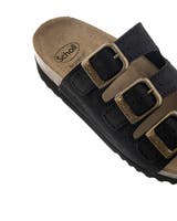 Scholl Rio WG AD
