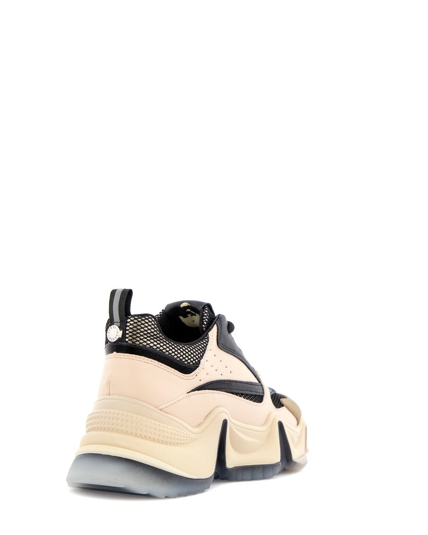 Steve Madden City soul sneaker