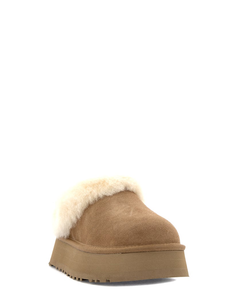 Ugg W Tazzelle