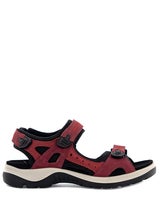 Ecco Offroad