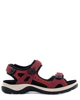 Ecco Offroad
