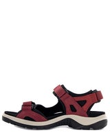 Ecco Offroad